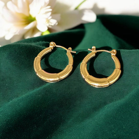 Dual Gold Hoops